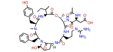 Micropeptin EI964